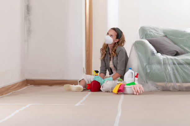 Reliable Mold Cleanup contractor in River Forest, IL by WQB Mold Removal